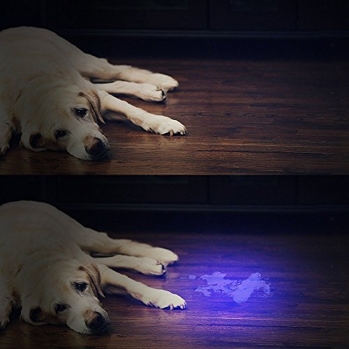 Vansky® UV Schwarzlicht Taschenlampe mit 51 LEDs | Haustiere Urin-Detektor für eingetrocknete Flecken Ihrer Hunde, Katzen und Nagetiere auf Teppichen, Vorhänge, Gardinen, Möbel und anderen Stoffen | inkl. 3xAA-Batterien [Energieklasse A] - 3