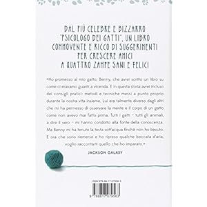 Il migliore amico dei gatti