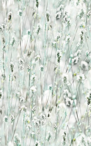 d-c-fix, Folie, Design Sommerset, selbstklebend, 67,5 x 200 cm