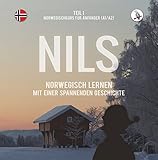 Image de Nils. Norwegisch lernen mit einer spannenden Geschichte. Teil 1 - Norwegischkurs für Anfänger.