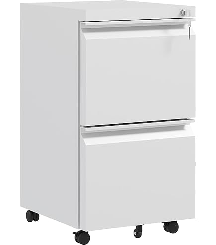 Bisley 2 Drawer Filing Cabinet | Cabinets Matttroy