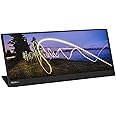 Lenovo ThinkVision M15 Monitor - Display 15,6" Full HD (1920x1080, IPS, 6ms, 60Hz, Input USB-C, Black) Inclinazione ed altezz