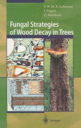 Preisvergleich Produktbild Fungal Strategies of Wood Decay in Trees