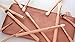 Z-O-E-V-A 12pcs Makeup Brushes Professional Rose Golden Luxury Set Brand Make Up Tools Kit Powder Blend Cosmetic brushes LUXURY SET (12pcs/set pink)
