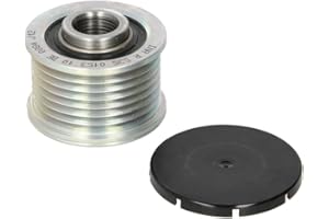 INA 1083098 Poulie à Roue Libre Alternateur