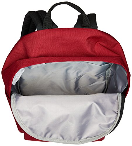 AmazonBasics Klassischer Rucksack - 4