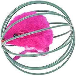 TOOGOO(R) Juguete para Gato Juguete de Jaula y con Un Raton Dentro