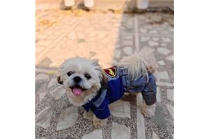 Lulala Pets Denim Stripe Jumpsuit Dog Clothes Cute Puppy Jeans Pet Dress Cold Weather Coat Puppy Vest-Pet Jumpsuit for Small Medium and Large Dogs(Grey-Blue,XL)