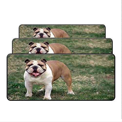 Preisvergleich Produktbild Dhsbd @ Mauspad Rechteck Große Matten Gummimatte Overlock Rand Wasserdichte Gaming Mouse Pad Matte Xl Großen Schreibtisch Büroarbeit / Spiel Geburtstagsgeschenk 400X800X3 Mm