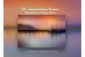 ICM - Intentional Camera Movement: Perfecting Moves and Choosing Subjects