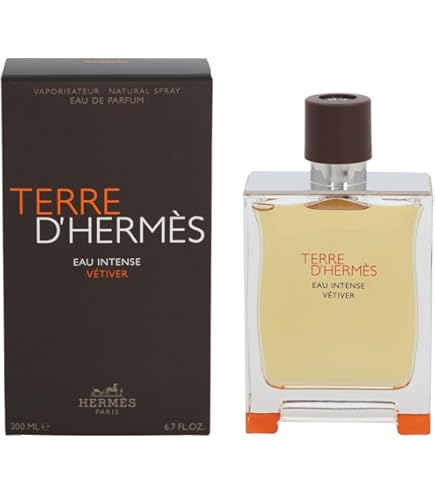 TERRE D'HERMÈS EAU GIVRÉE edp refillable 100 ml : Amazon.ae: Beauty