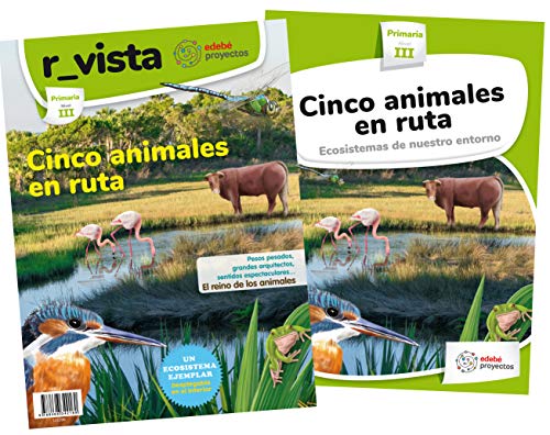 CINCO ANIMALES EN RUTA (Ecosistemas de nuestro entorno)