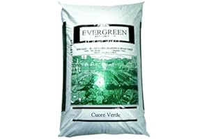 VIALCA EVERGREEN CONCIME MINERALE PER PRATI, SPAZI VERDI E GIARDINI KG 25