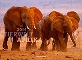 Tierwelt Afrika 2014 by 