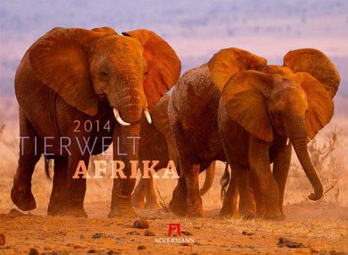 Tierwelt Afrika 2014