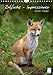 Rotfuchs - Impressionen (Wandkalender 2014 DIN A4 hoch): Bilder aus dem Leben der Füchse. (Monatskalender, 14 Seiten) by
