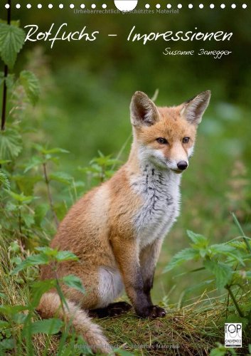 Rotfuchs - Impressionen (Wandkalender 2014 DIN A4 hoch): Bilder aus dem Leben der Füchse. (Monatskalender, 14 Seiten)