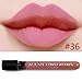 Neverland Waterproof Liquid Makeup Lip Pencil Matte Lipstick Lip Gloss Super Long Lasting 36#