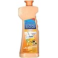 Loyal Multi-Purpose Household Deodorizer Concentrated Gel, Tropical Fruits, 2100ml