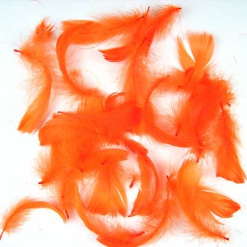 echte Federn gefärbt 15g ca. 270 Stück Deko 5-10cm, Farbe:orange