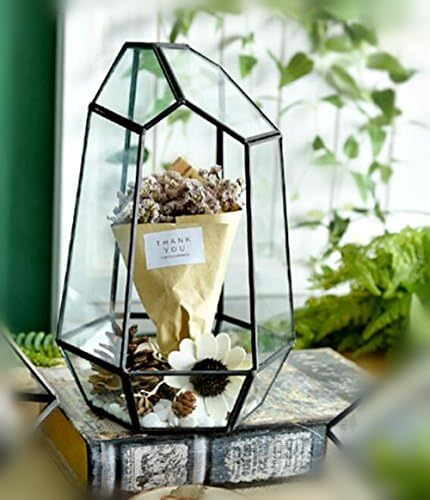 JZC Modern Glass Pyramid Tabletop Succulent Plant Box ,Glass Geometric Air Plants Container Miniature Modern Rustic Art Style