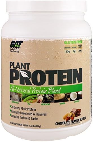 GAT Sport Naturals PLANT PROTEIN SHAKE All-Natural Protein Blend 1.48lbs/673g Chocolate Peanut Butter | Per Serving: 20g Protein, 2g Sugar, 20g Aminos | Gluten Free, Vegan, Vegetarian, Naturally Sweetened &amp; Flavoured, Amazing Texture &amp; Taste