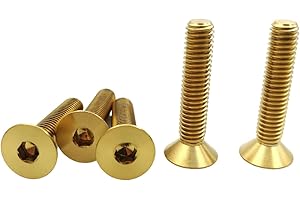 RISON-Titanium Bulloni a Testa Svasata in Titanio GR5 M6x1.0x25mm, Viti a Testa Piatta con Esagono Incassato, Viti a Testa Brugola Bullone Meccanico Viti Filettate per Bicicletta, MTB, 5 Pezzi