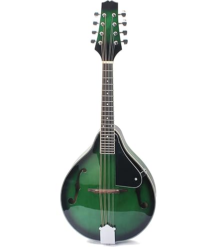 Blue Moon BM-07 Mandolin : Amazon.co.uk: Musical Instruments & DJ