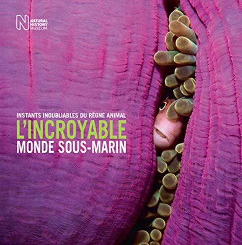 Download L'incroyable monde sous-marin Download L'incroyable monde sous-marin