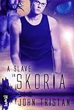 Image de A Slave in Skoria (English Edition)