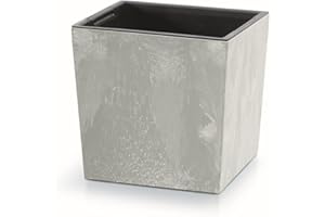 Prosperplast Pot de Fleurs 2 en 1 avec Insert - en Plastique - Aspect béton - 24 cm x 24 cm x 23,5 cm (béton)