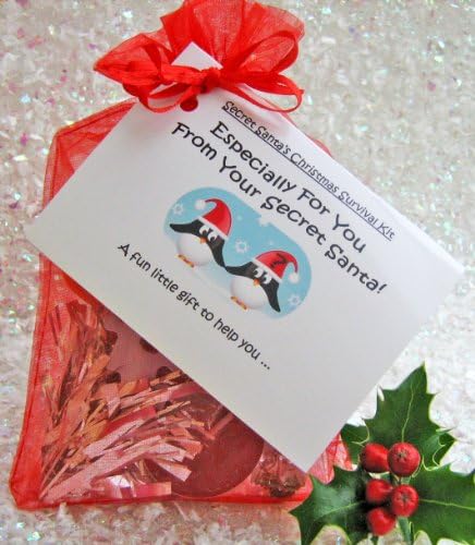 Novelty Secret Santa Christmas Survival Kit Gift Card (Female Recipient Red).Great Stocking Filler, Fun Unusual Novelty Jokey Present, for Her for Women