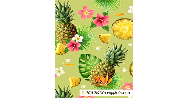 Calendrier 2023 Ananas 2021-2023 Pineapple Planner: 36 Month Diary Calendar Planner Organizer, 3  Year Monthly Schedule (January 2021 To December 2023) : O'reilly, Lilly:  Amazon.fr: Livres