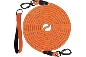 Joytale Correa Larga Perro, Correa Adiestramiento Perro 5/10 / 15/20 Metros, Cuerda para Perros, Correa Resistente para Camping Paseo (Naranja 5 Metros)