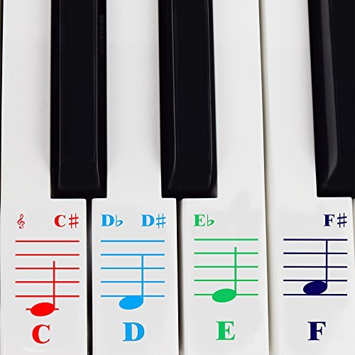 QMG Color Piano Stickers for 49/61/ 76/88 Key Keyboards - Transparent and Removable: Made in USA