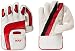 MRF Genius Wicket Keeping Gloves, Men
