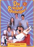 Die wilden Siebziger! - Die komplette 6. Staffel (4 DVDs - Amaray) - Ashton Kutcher