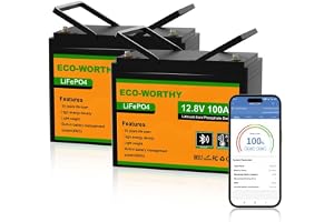 ECO-WORTHY 2-pack LiFePO4 12 V 100 Ah Bluetooth med 100 A BMS lågtemperaturskydd och max. 15 000 cykler, 1 280 Wh litiumbatte
