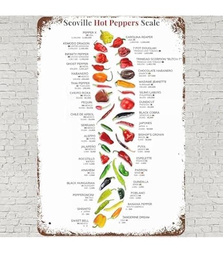 thumbnail image 2 of Chilli Pepper Knowledge Metal Tin Sign Types Of Chillies Chart Wallart Artwork Poster Farm School Office People Cave Bedroom Li 2 of 13