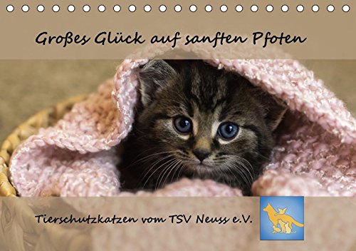 Tierschutzkatzen vom TSV-Neuss - Großes Glück auf sanften Pfoten (Tischkalender 2018 DIN A5 quer): Pflegekatzen und ehemalige Schützlinge vom ... ... Tiere) [Kalender] [Jun 16, 2017] B, Jane