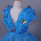 JerrisApparel Aschenputtel Kleid Prinzessin Kostüm Schmetterling Mädchen (150, Blau) -
