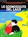 Lo Sconosciuto Del Lago [IT Import]