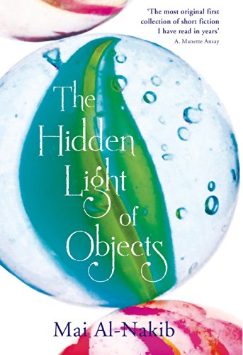 The Hidden Light of Objects livre