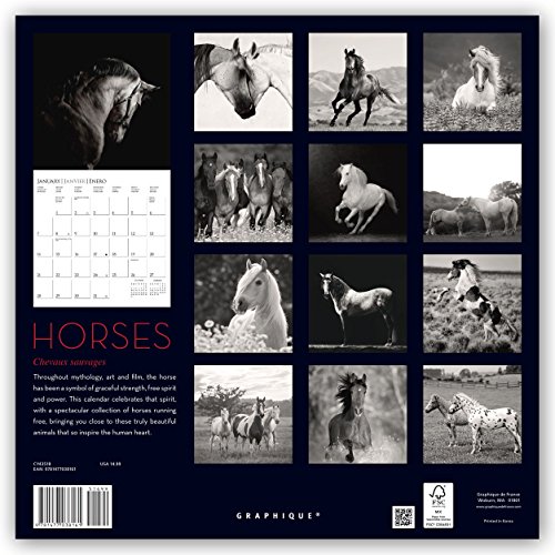 Horses 2018 Wall Calendar