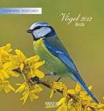 Vögel 2012 Postkartenkalender by 