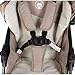 Froggy Stroller DINGO Buggy Pushchair Sportbuggy Jasper