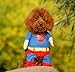 Produktbild Hunde Kleidung Katze Kleidung Superhund Haustier-Kleidung Superman Hundewelpen Katzen-Halloween-Haustier Kleidung Kleidung für Hunde Katze-Tierbedarf (Medium (Hals: 25-30 cm))