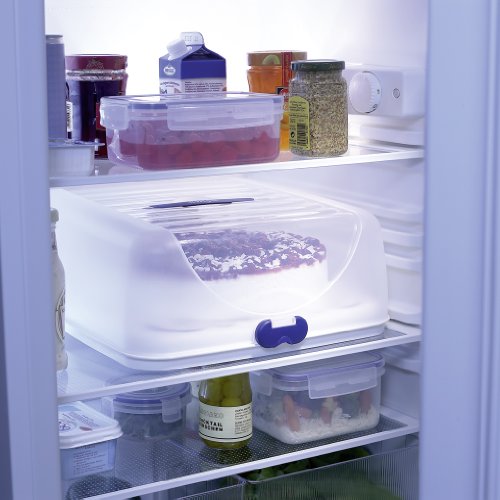 Emsa 516946 Eckiger Partybutler, Befüllbarer Akku, Universaleinsatz, 36 x 35 cm, Blau, Superline