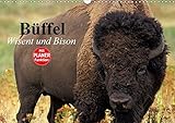 Büffel. Wisent und Bison (Wandkalender 2018 DIN A3 quer): Die Schönheit der kraftvollen Kolosse im Zottelfell (Geburtstagskalender, 14 Seiten ) ... [Kalender] [Apr 01, 2017] Stanzer, Elisabeth by 