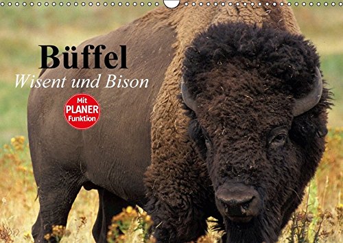 Büffel. Wisent und Bison (Wandkalender 2018 DIN A3 quer): Die Schönheit der kraftvollen Kolosse im Zottelfell (Geburtstagskalender, 14 Seiten ) ... [Kalender] [Apr 01, 2017] Stanzer, Elisabeth